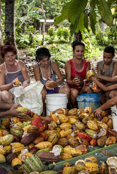Indalo_Cuba_Activite_Baracoa_Cacao-autrement-culture