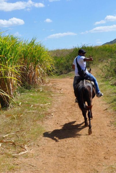 Indalo_Cuba_Activite_Los-Ingenios-cheval-chemin