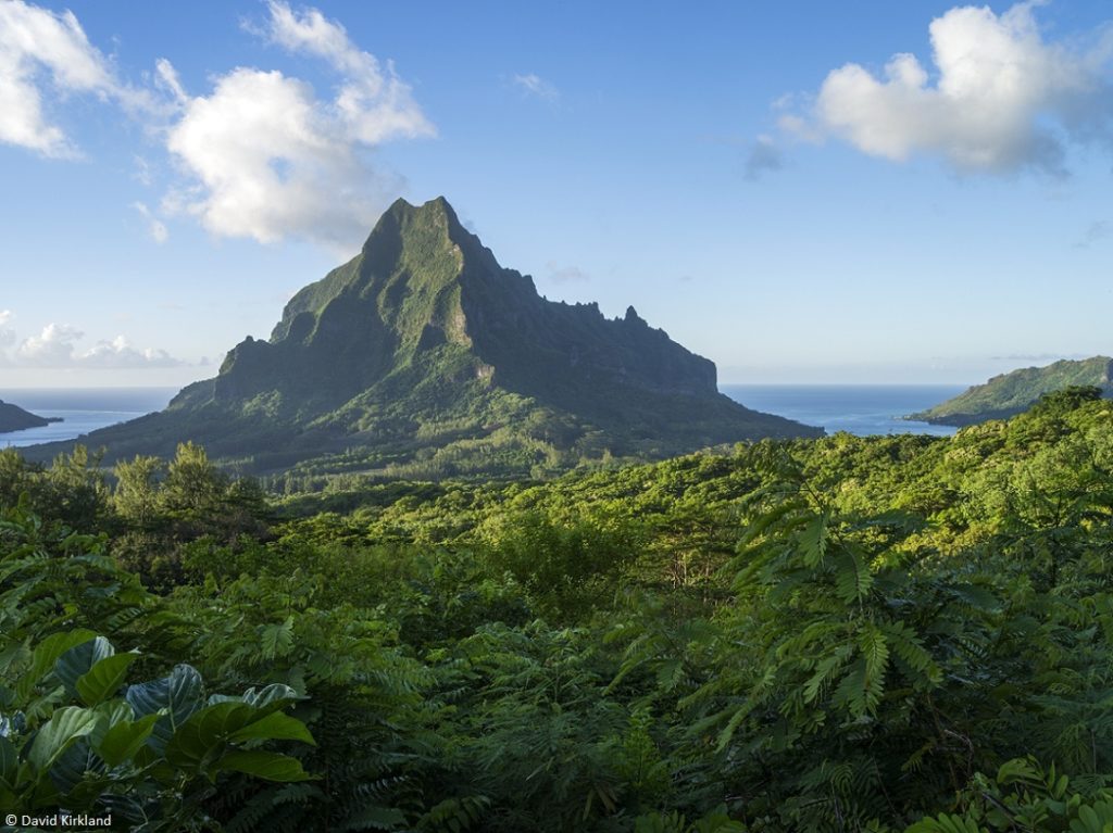 Indalo_Polynesie_Guide_Moorea-Mont Rotui