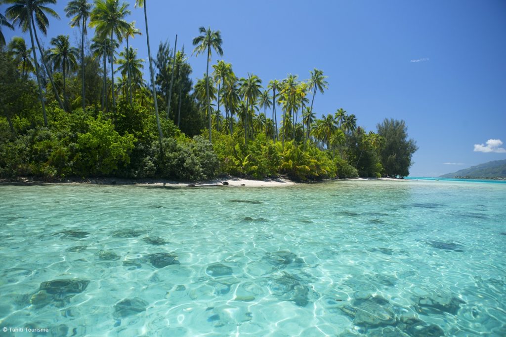 Indalo_Polynesie_Guide_Moorea-lagon-plage