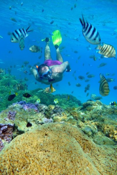 Indalo_Polynesie_Activites_Bora Bora_Snorkeling-corail