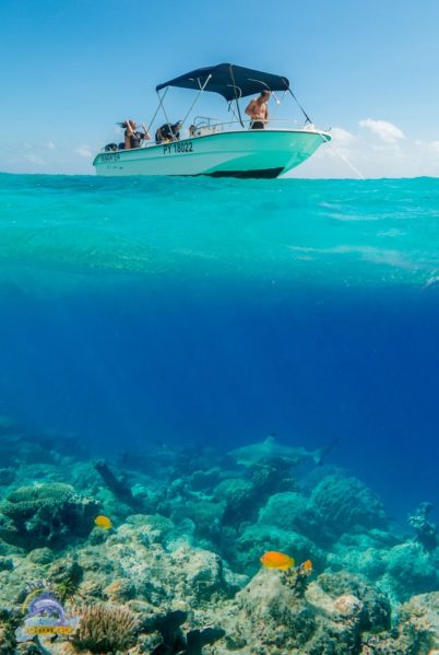 Indalo_Polynesie_Activites_Tikehau_Snorkeling-bateau