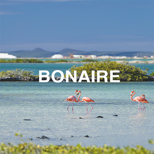 indalo_Bonaire