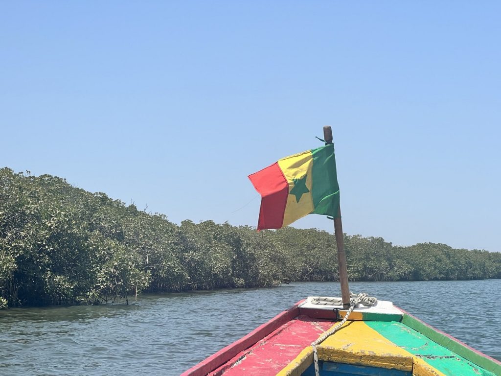Indalo_Senegal_Guide_Saloum-drapeau