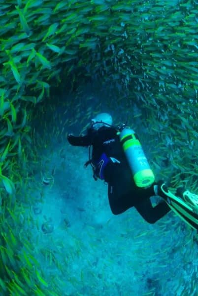 Indalo_Seychelles_Activite_Plongee-Big Blue-banc